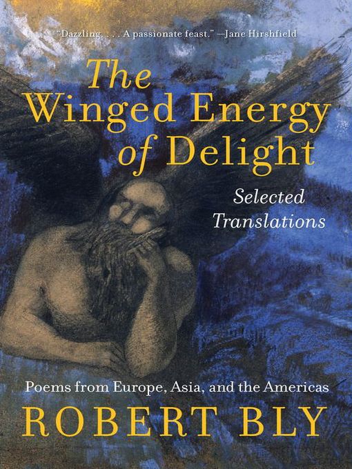 Cover image for The Winged Energy of Delight